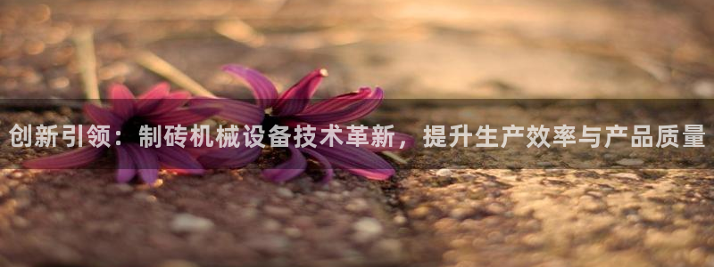 ag九游会集团