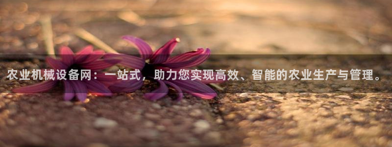 j9九游会会员日