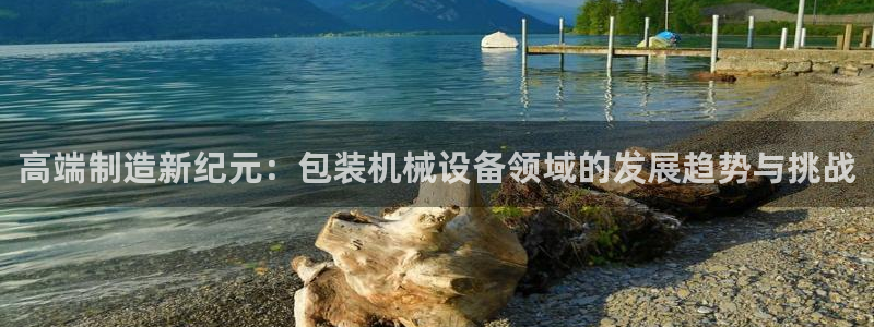 九游会在线官方下载吗