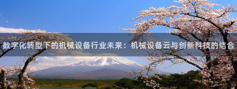 九游会网址大全：数字