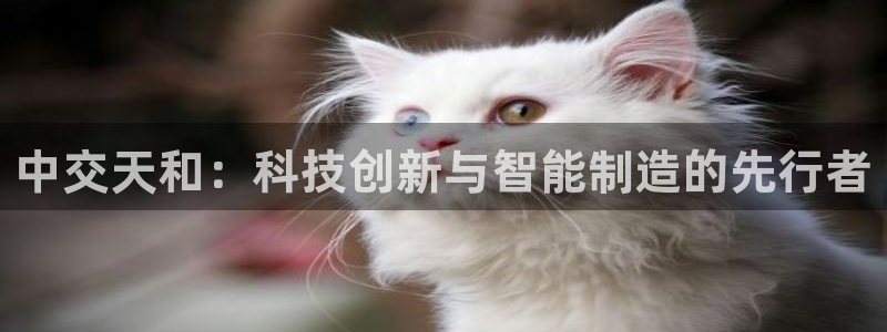 九游会平台怎么样