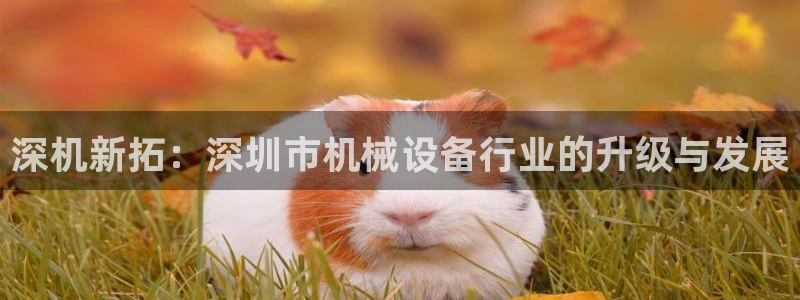 九游会ag首页