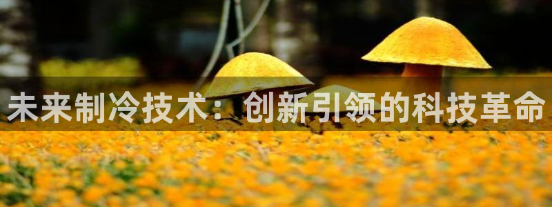 九游会亚洲唯一合作伙伴