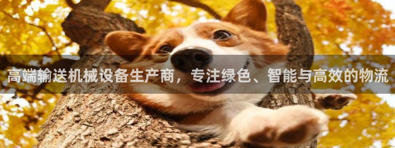 九游会第一真人视频游戏