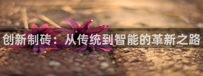 j9九游会首页入口