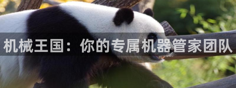 ag九游老哥俱乐部