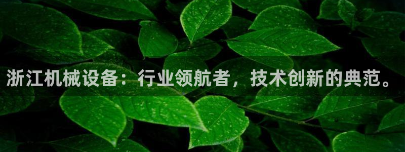 九游会中国入口嘛
