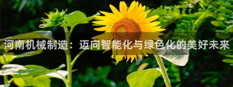 九游会官网真人认证吗知乎