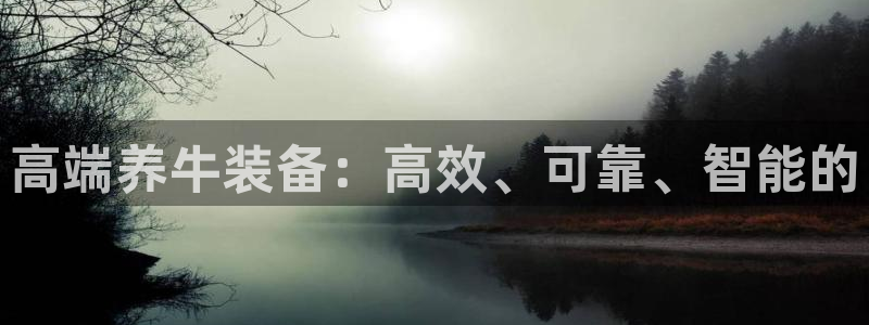 九游会是干嘛的