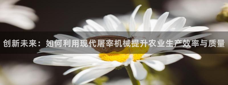 九游会官