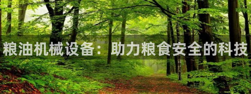 九游会是大平台吗