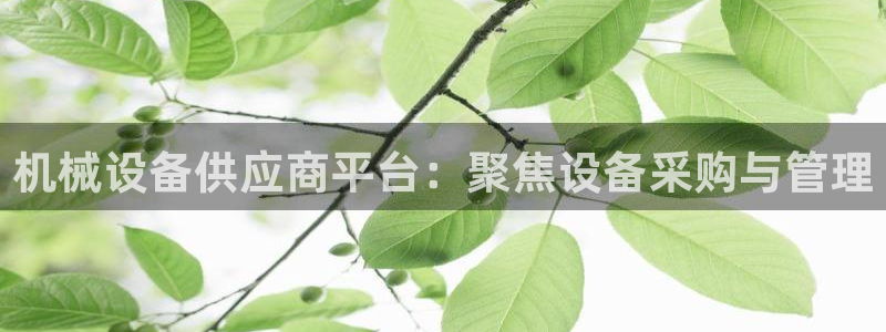 九游会ag真人官网