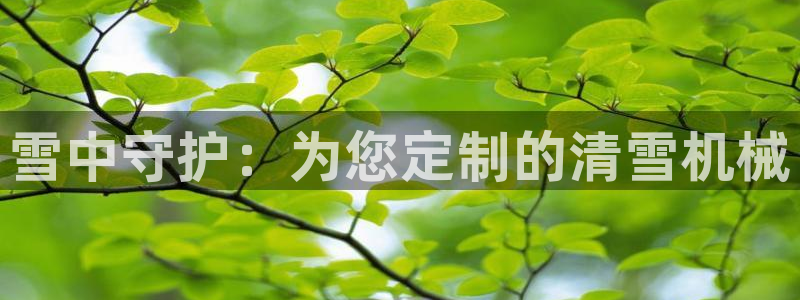 ag老队友